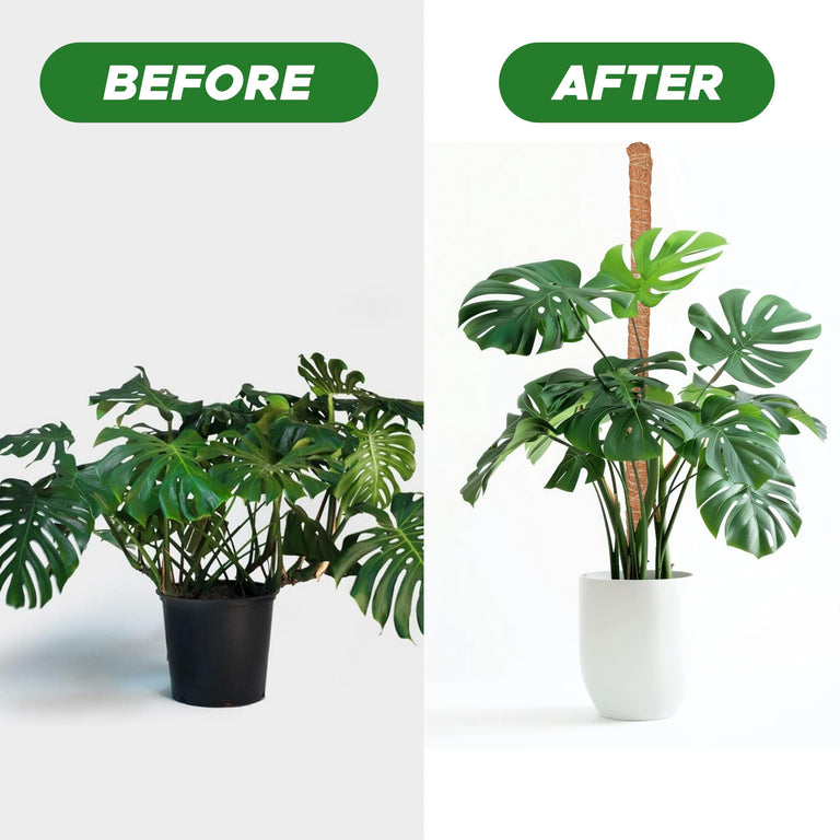 Moss pole Monstera plant support 28 inch EcoNour upright growth plant stick