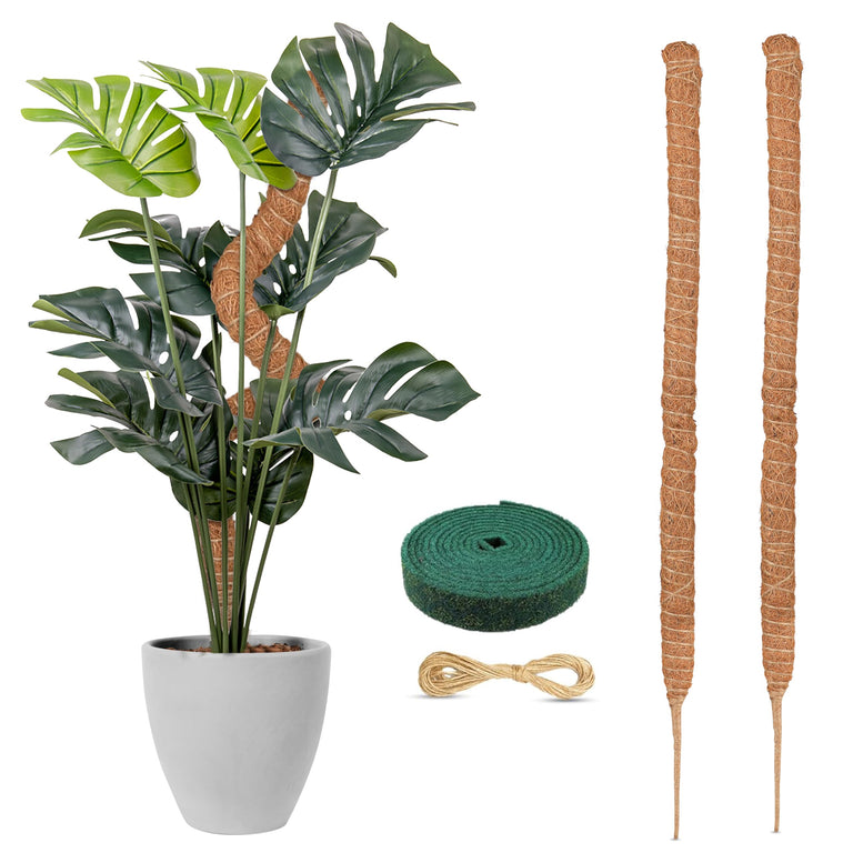 Moss pole Monstera plant support 28 inch 2 pack EcoNour for indoor climbing plants