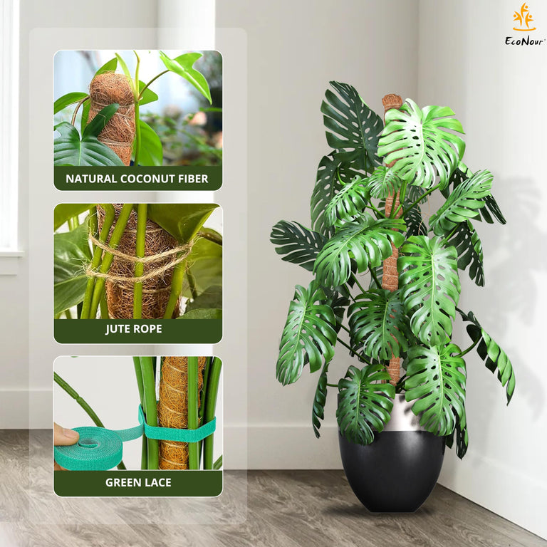 Moss pole Monstera plant support 28 inch EcoNour training pole for pothos