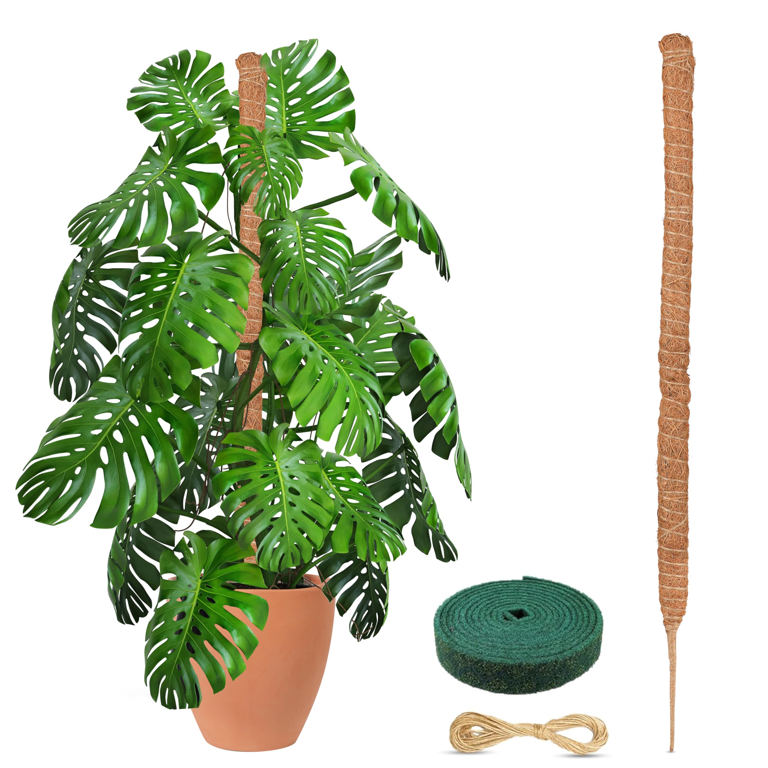Tall Moss Pole for Plants 48 Inch for Monstera and Indoor Climbing Plants