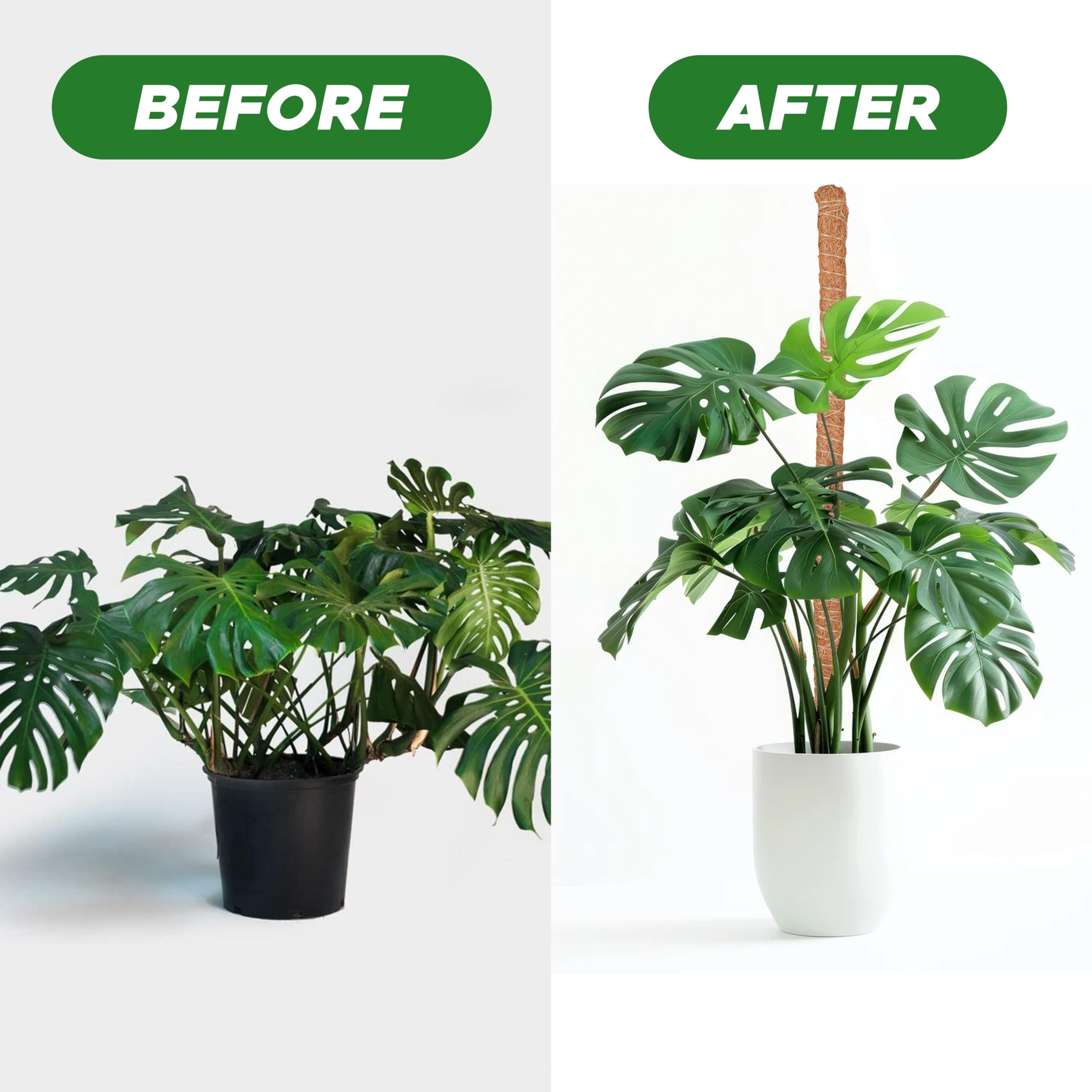 Moss pole Monstera plant support 28 inch EcoNour training sticks for vines