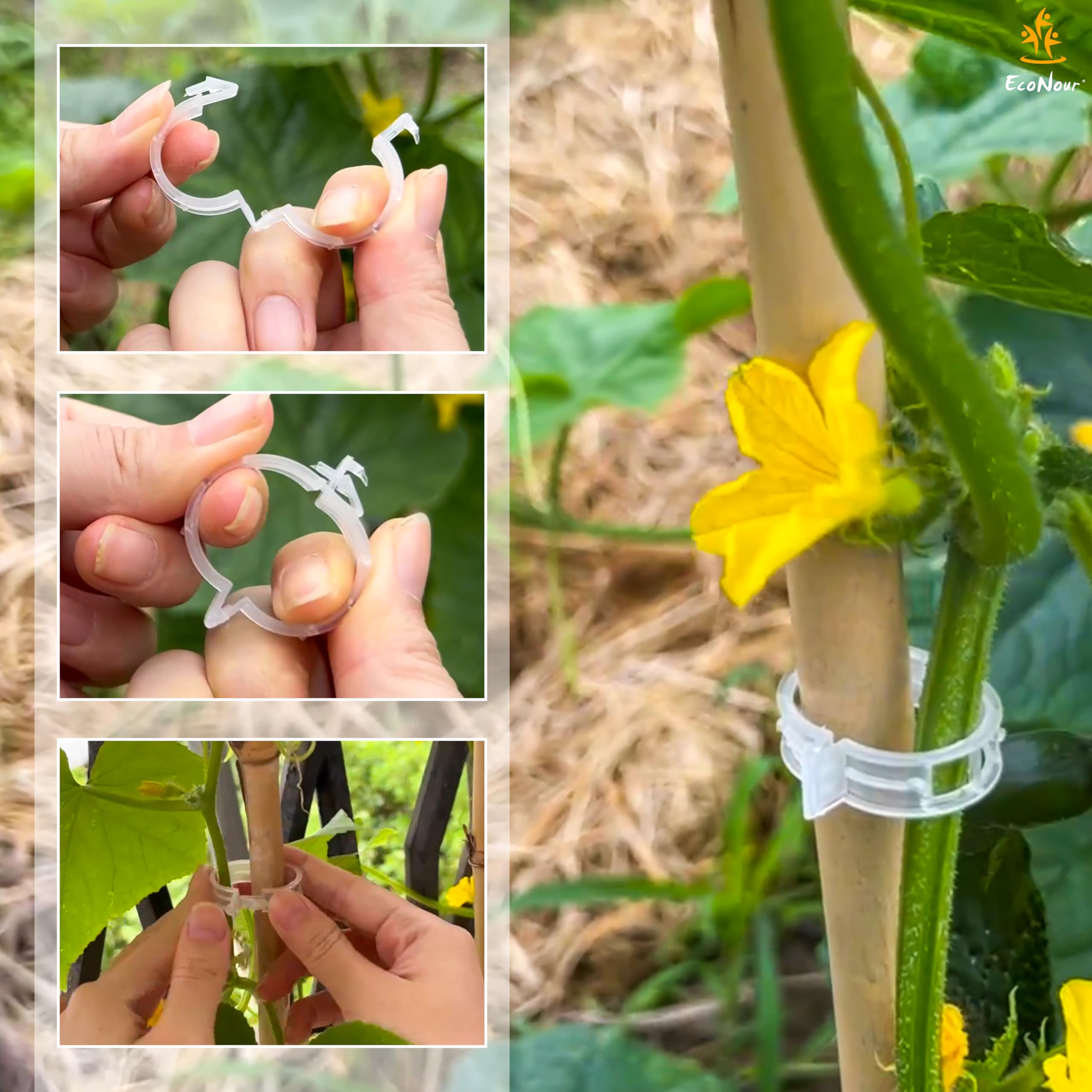 EcoNour Plant Support Clips for healthy plant growth