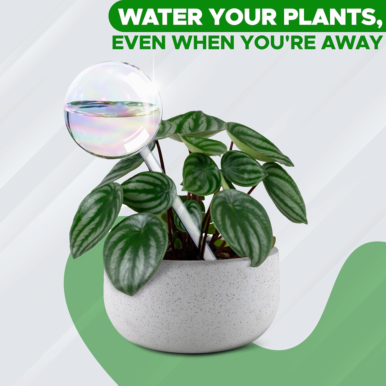 EcoNour 2-Piece Iridescent Self-Watering Glass Globes – Automatic Plant Waterer for Indoor & Outdoor Plants